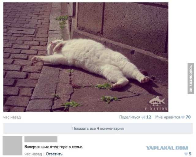 Прикольные пикчи