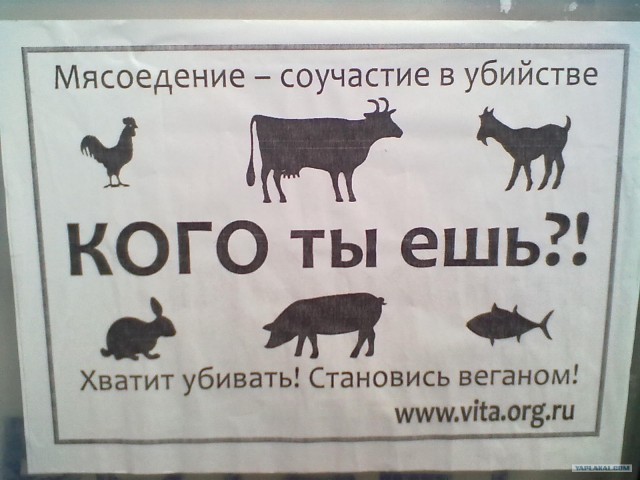 Пламенный привет веганам!