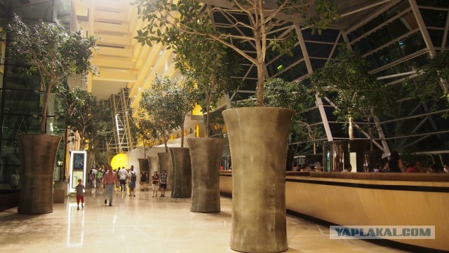 Сингапур. Гостиница "Марина Бэй"