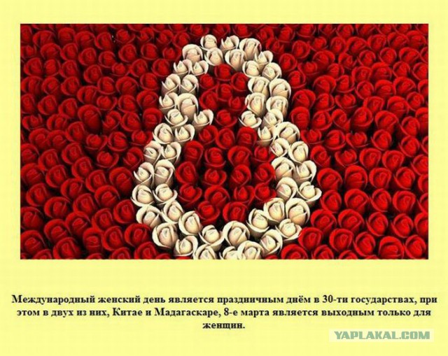 20 фактов обо всем