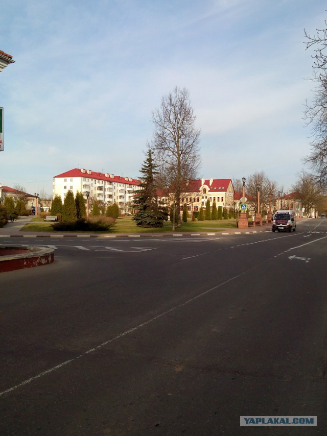 Миграция московского планктона