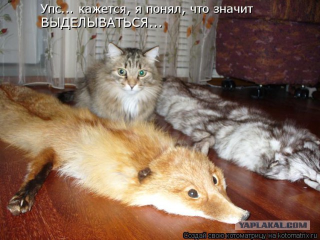 Веселые картинки