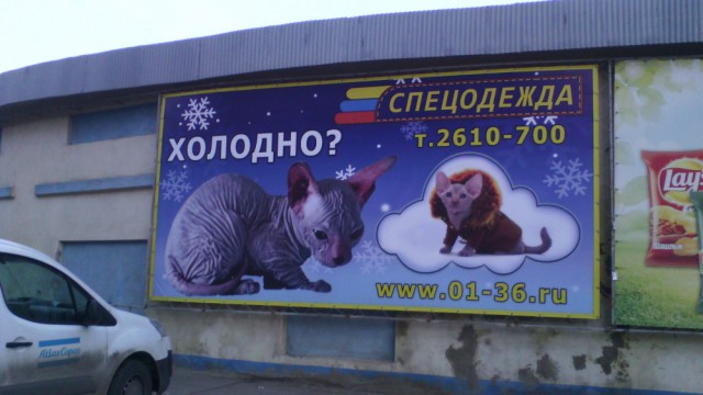 Ужасы и приколы из жизни