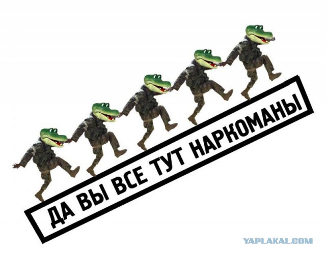 Смешные, прикольные,  и странные картинки