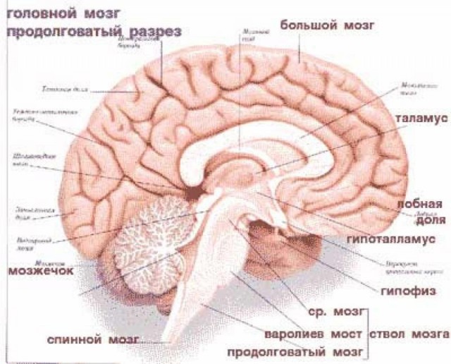 По следам Евровидения