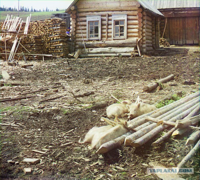 Российская Империя Вновь