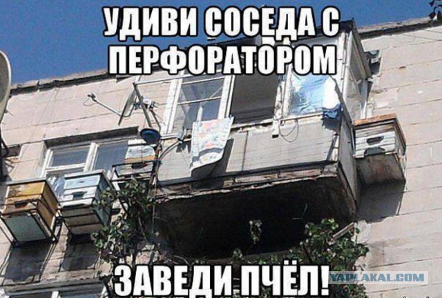 Как убить соседа, что продолжает срать?