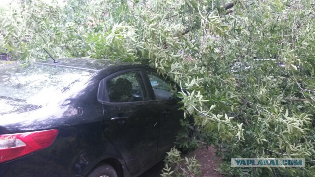 Сильная гроза в Москве и ее последствия