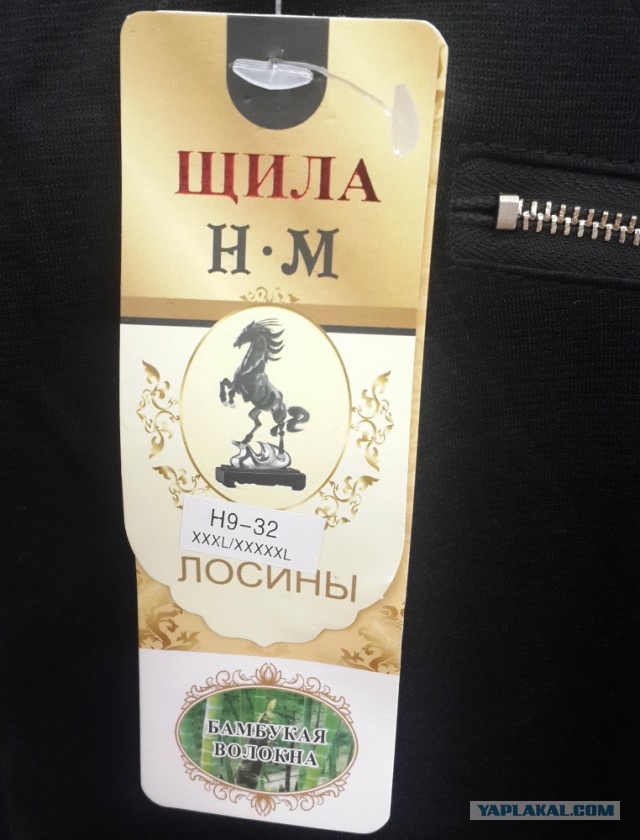Картинки и приколы из сети, для поднятия настроения=)