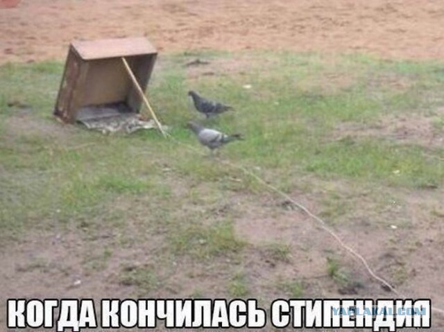 Пятничная подборка картинок