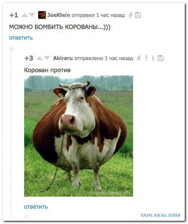 Вся бухгалтерия порно-ролика