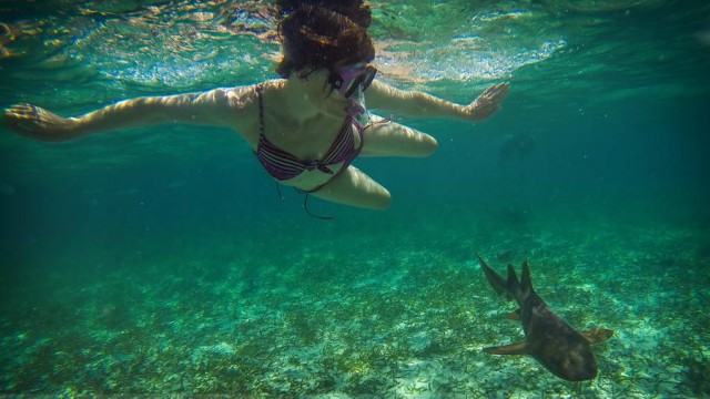 Девочки разные под водой