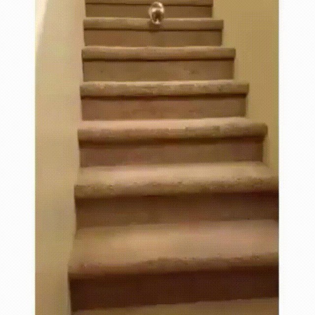 Я по лестнице прыг-скок!