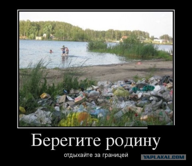 «Я просто ходила мимо к роднику и увидела всю эту свалку»