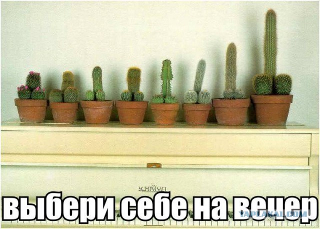 Коллеги узнали обо мне слишком личное