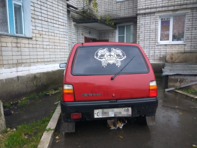 Удивительные снимки с российских просторов