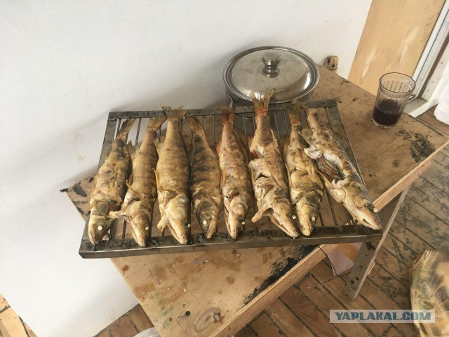 Ещё не закрыл летний сезон