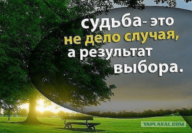 Советский Союз 1950-1960 гг. в объективе Всеволода Тарасевича