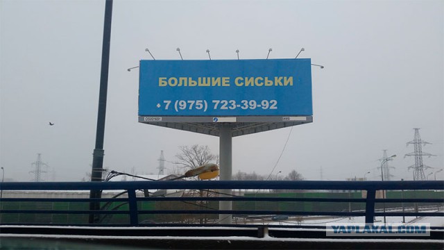 Юмор ниже пояса