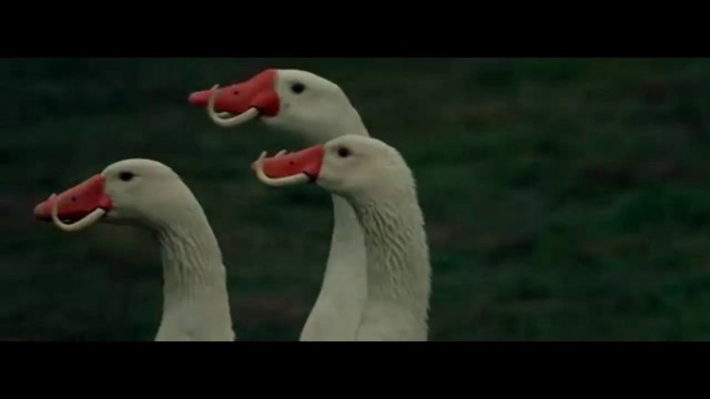 Молодой рефери