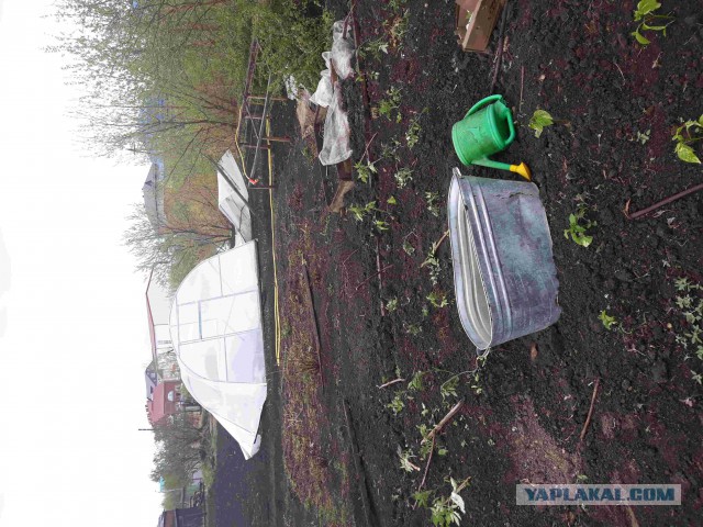 В Якутии сейчас бушует ураган