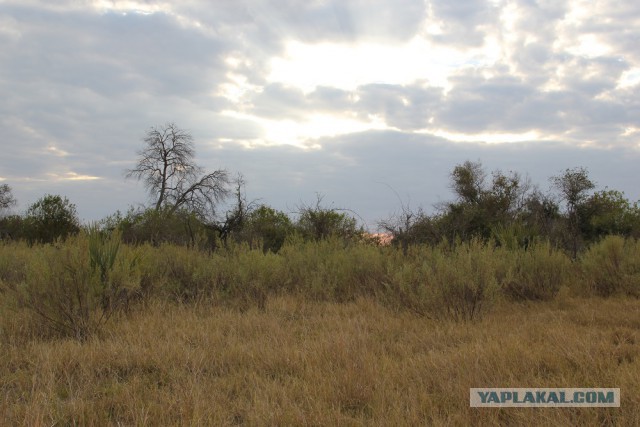 Отдых в палатке