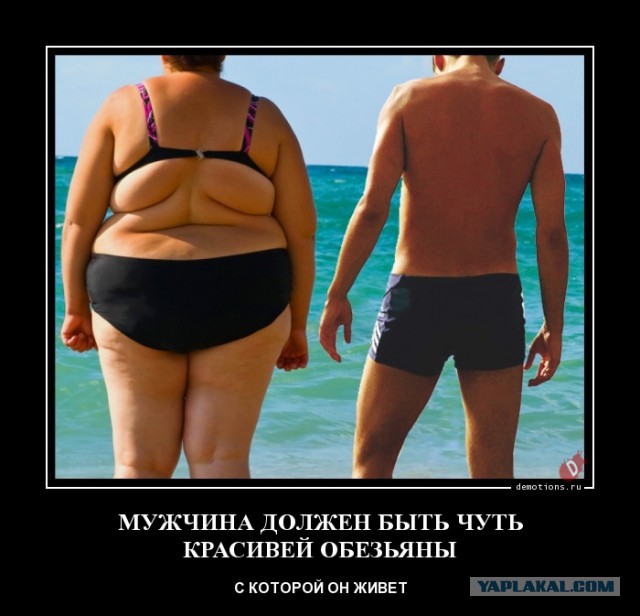 Прикольные картинки.