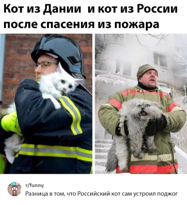 Нестандартный юмор