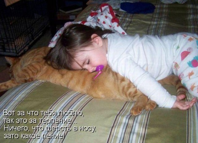 Котовторник 15.02.2011