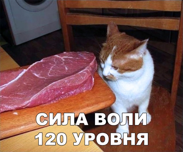 Немного милоты