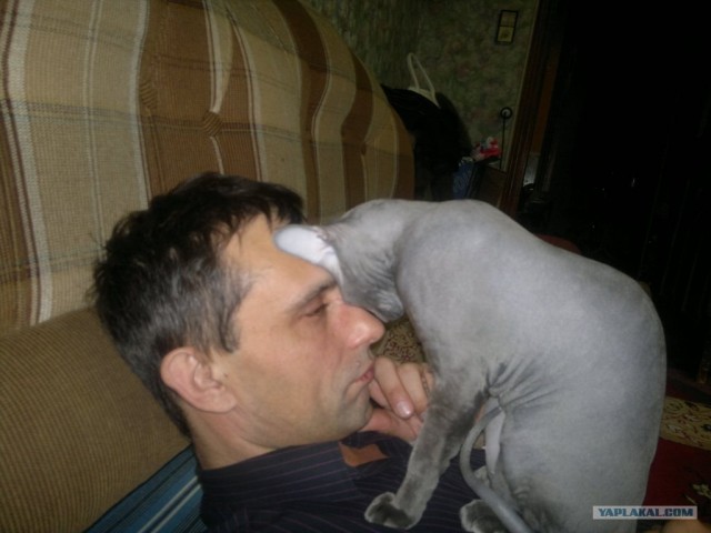 КОТОВТОРНИК (6.03.2012)