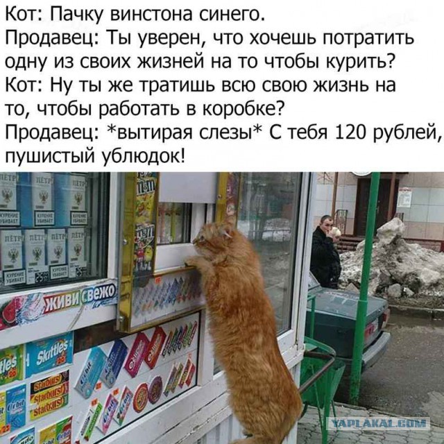 Картинки из интернета на вторник