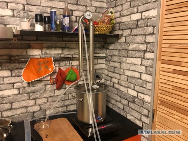 Сколько стоит самогон. Экономика домашнего алкоголя по рецепту Jack Daniel’s