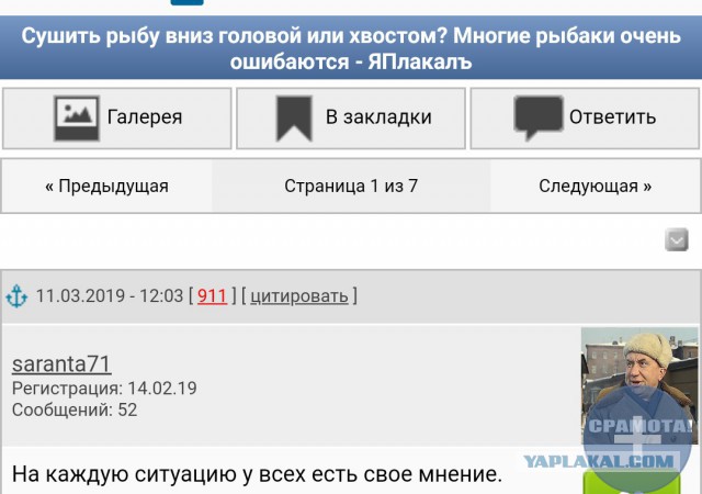 Сушить рыбу вниз головой или хвостом? Многие рыбаки очень ошибаются