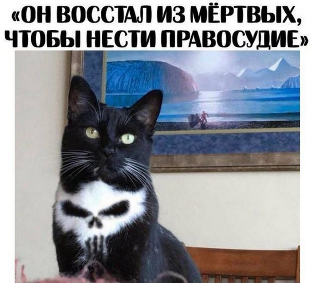 103 картинки для поднятия настроения!