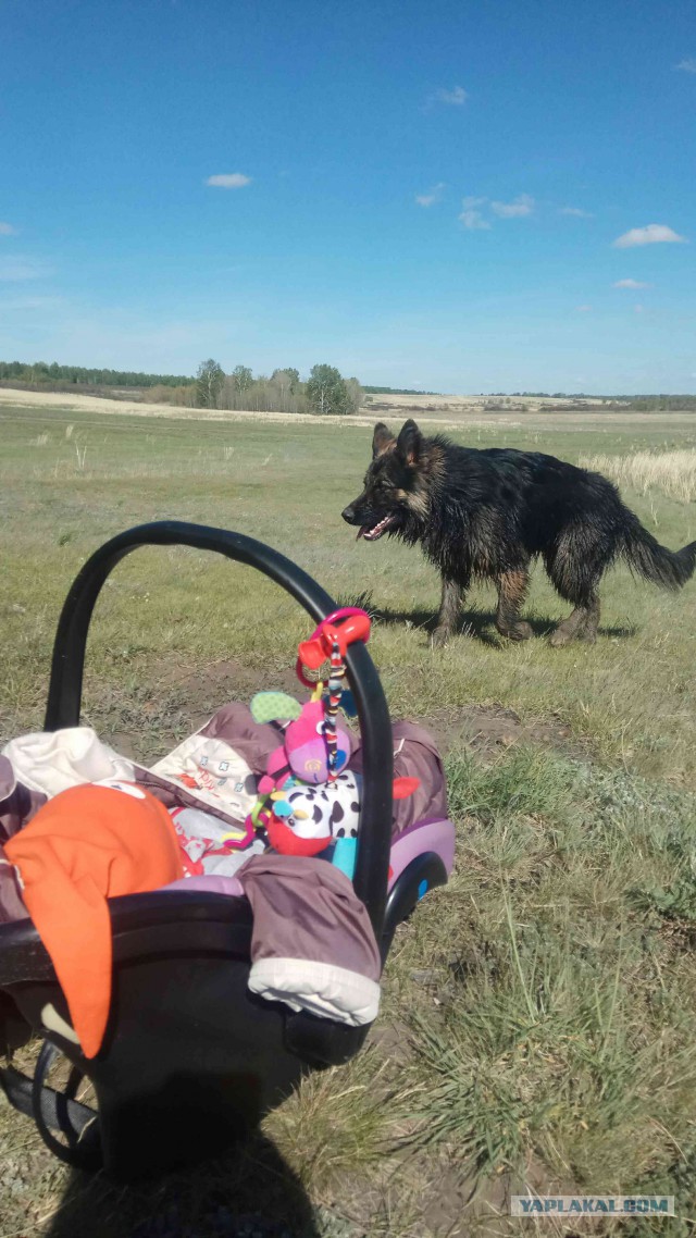 Лето, делимся видом из окна