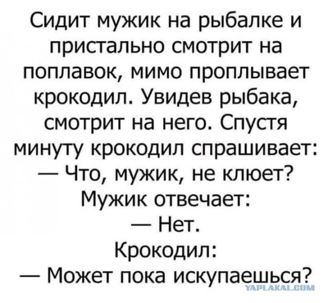 Немного странного юмора в картинках