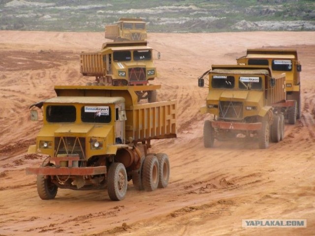 Игра на ЯПе: Угадай АВТО-5