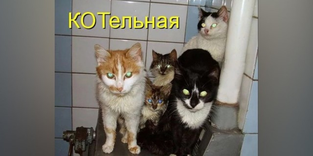 Холодный "флешмоб": Москва и страдающие москвичи без отопления