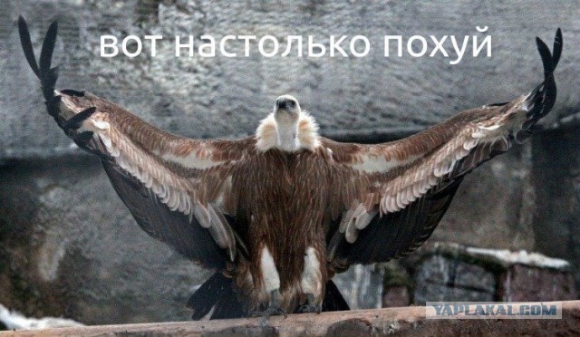 Регину Тодоренко обвинили в оправдании домашнего насилия. Она извинилась, но Glamour уже лишил её звания «Женщина года»