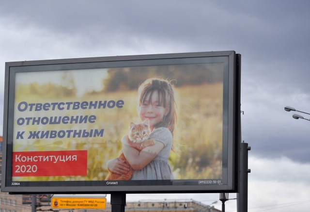 Мясников за поправки в Конституцию.Что только с поправками медицина у нас сможет нормально работать