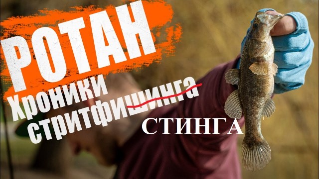 Ротан: три в одном
