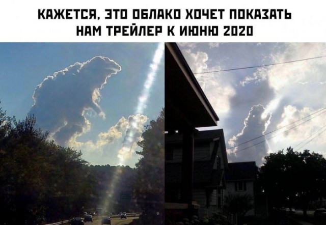Немного картинок для настроения 25.05.20