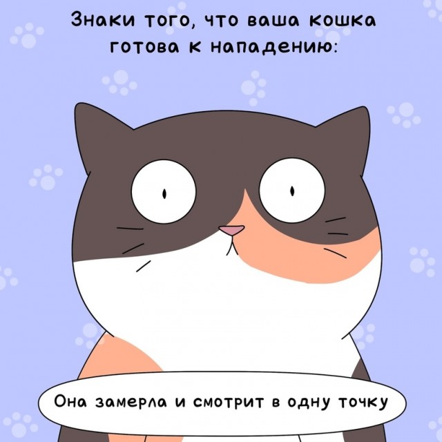 В этом мире ещё так много интересного