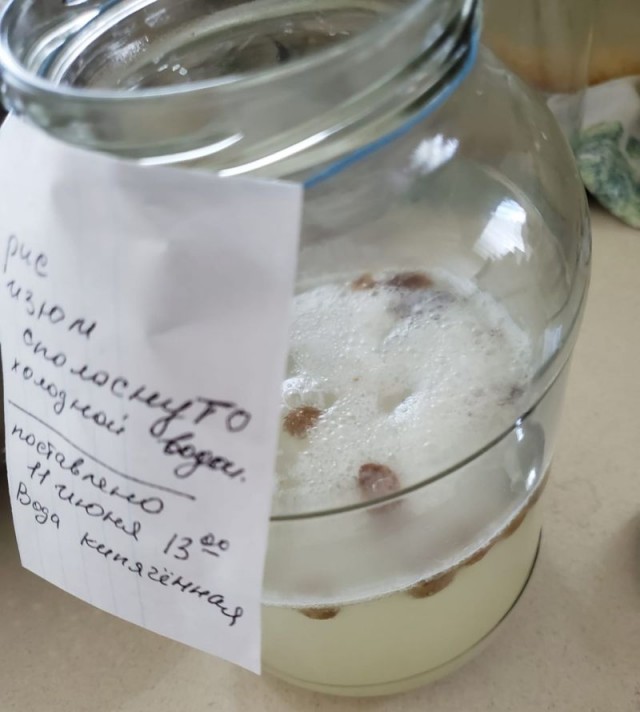 Рисовый квас.