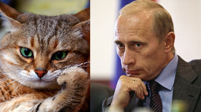 Народ - быдло?
