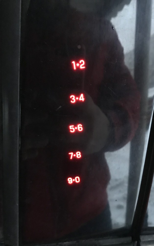 Кот отжал автомобиль