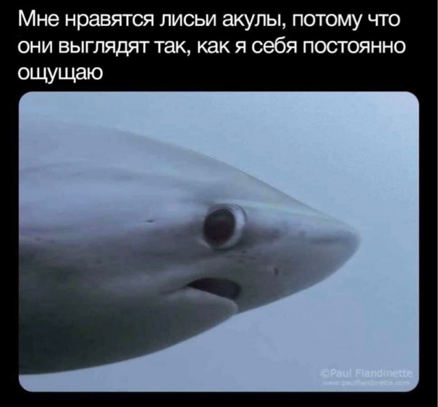Утро вам не «это»!