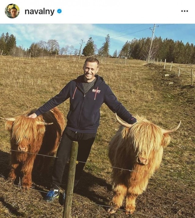 Суд над Навальным. Прямой эфир