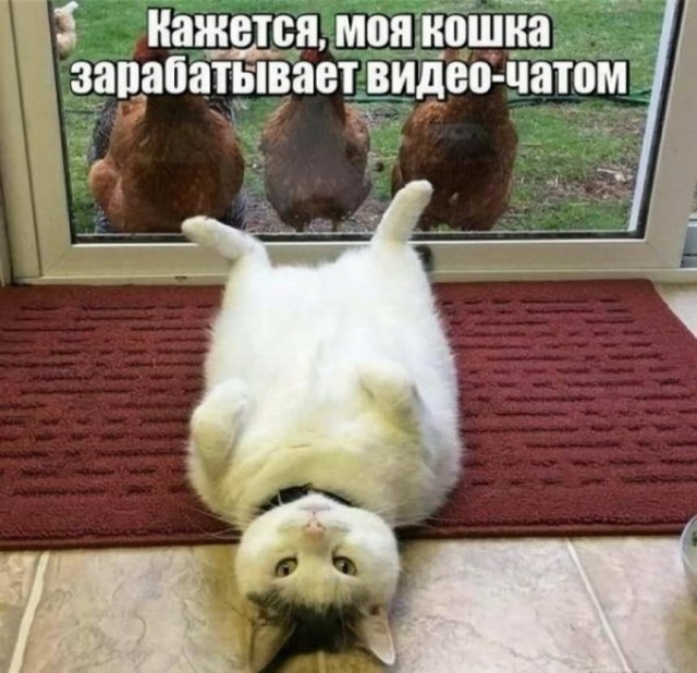 Пятница. И немного слегка пошлых картинок с надписями и без 16+ (19.03)
